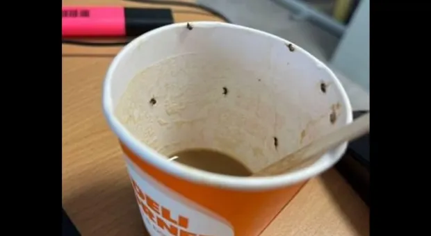 Кофе с насекомыми