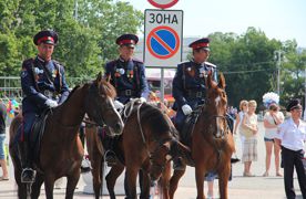 Чалый где-то прав, реестровое козлячество (охранители жiд.ок.режима) бесполезно и вредно.Поддержка нужна Белым казачьим организациям, не входящим в реестр.