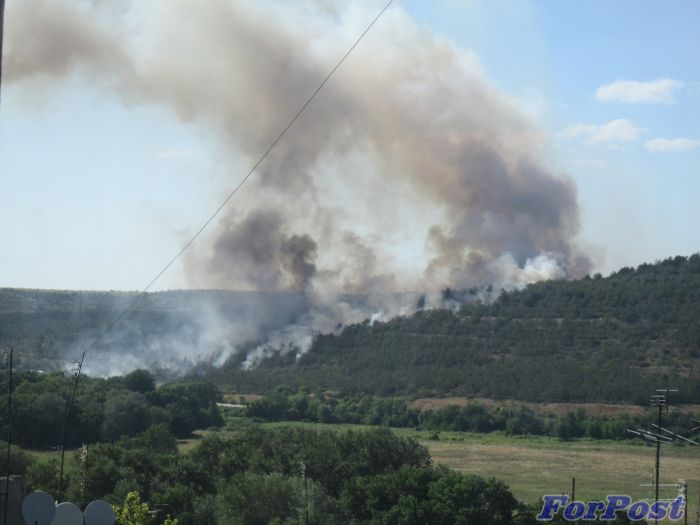 Возле севастопольского аэродрома загорелся лес
