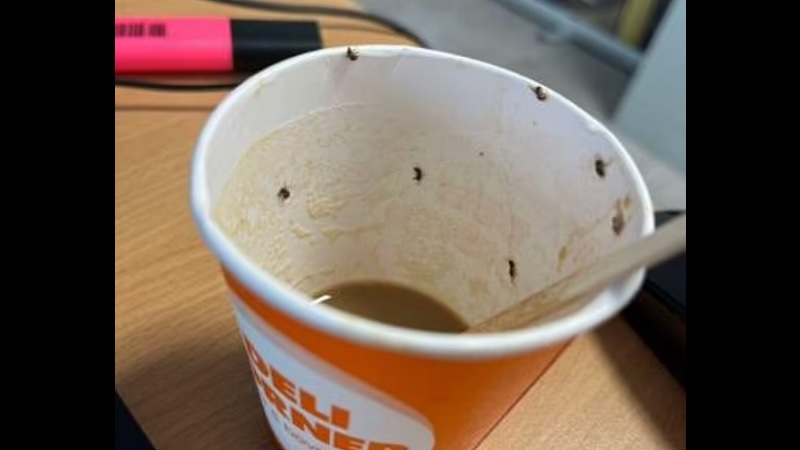 Девушка с трудом выжила, выпив кофе с насекомыми
