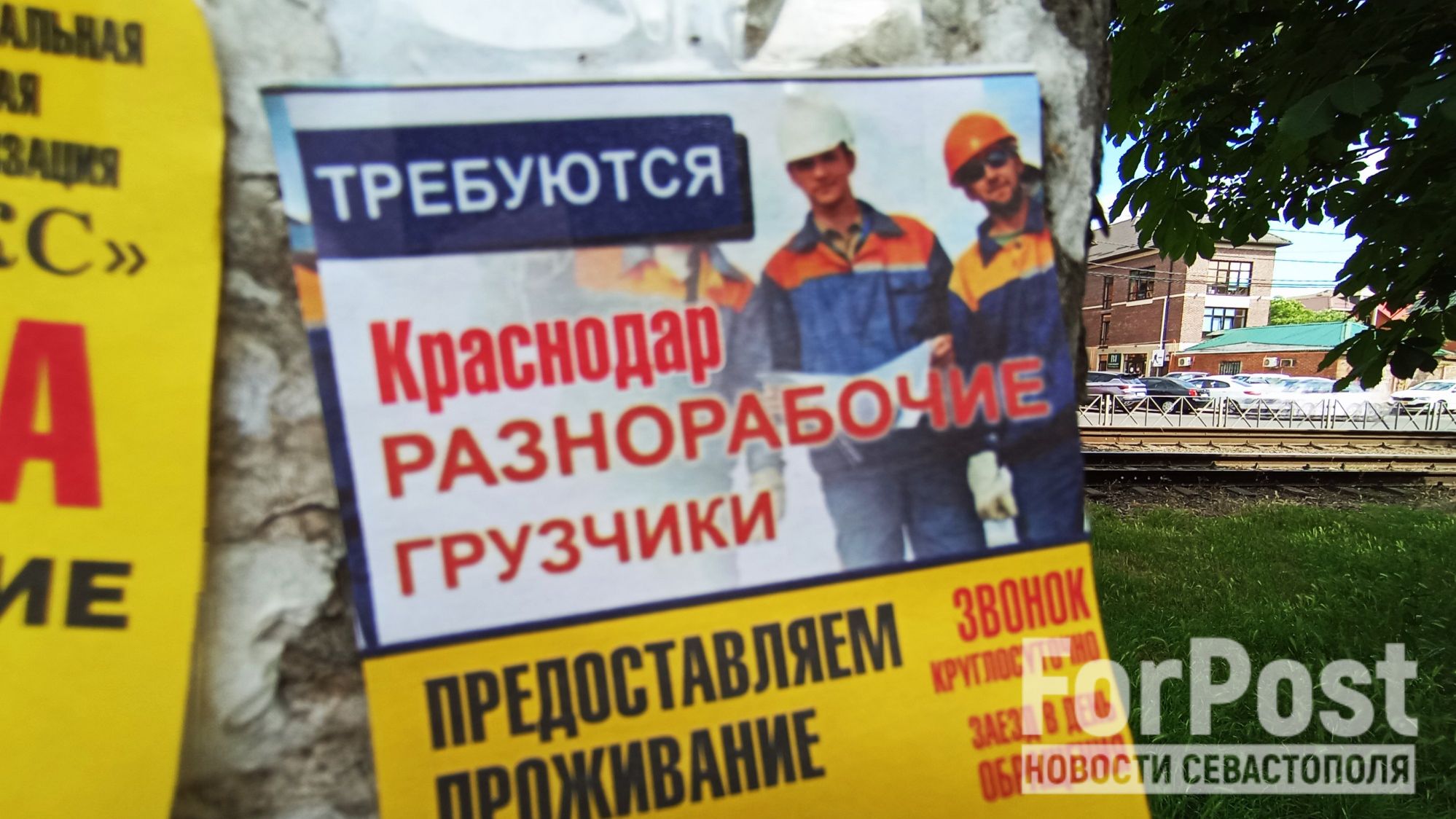 Почему в России низкие зарплаты, хотя безработицы почти нет?