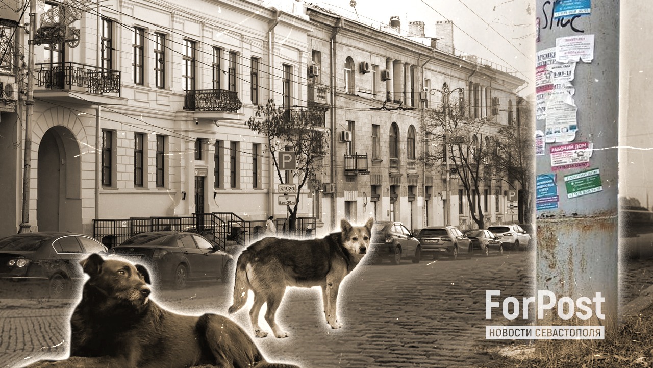Реальный Севастополь: сто десять лет без перемен?