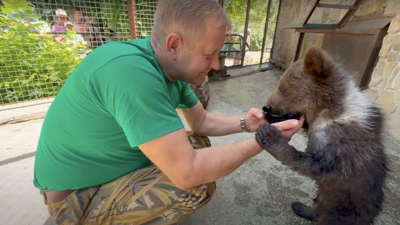 В крымском сафари-парке поселился медвежонок-нелегал