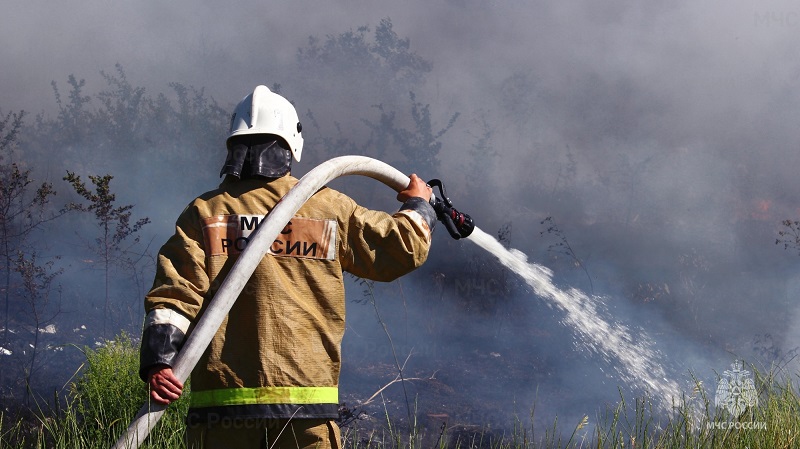 Виноваты люди и жара: в Крыму участились пожары