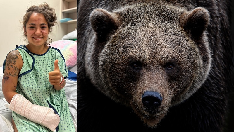 Заколка для волос помогла женщине пережить нападение медведя