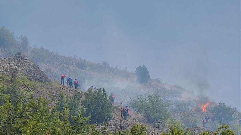 Как крымчане помогли потушить крупный лесной пожар