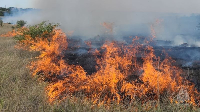 Пожары охватили больше 70 гектаров земли в Крыму за прошедшие сутки