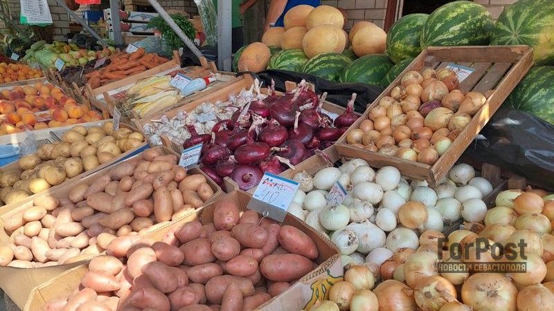 Почему в Крыму не стоит ждать дешёвых овощей