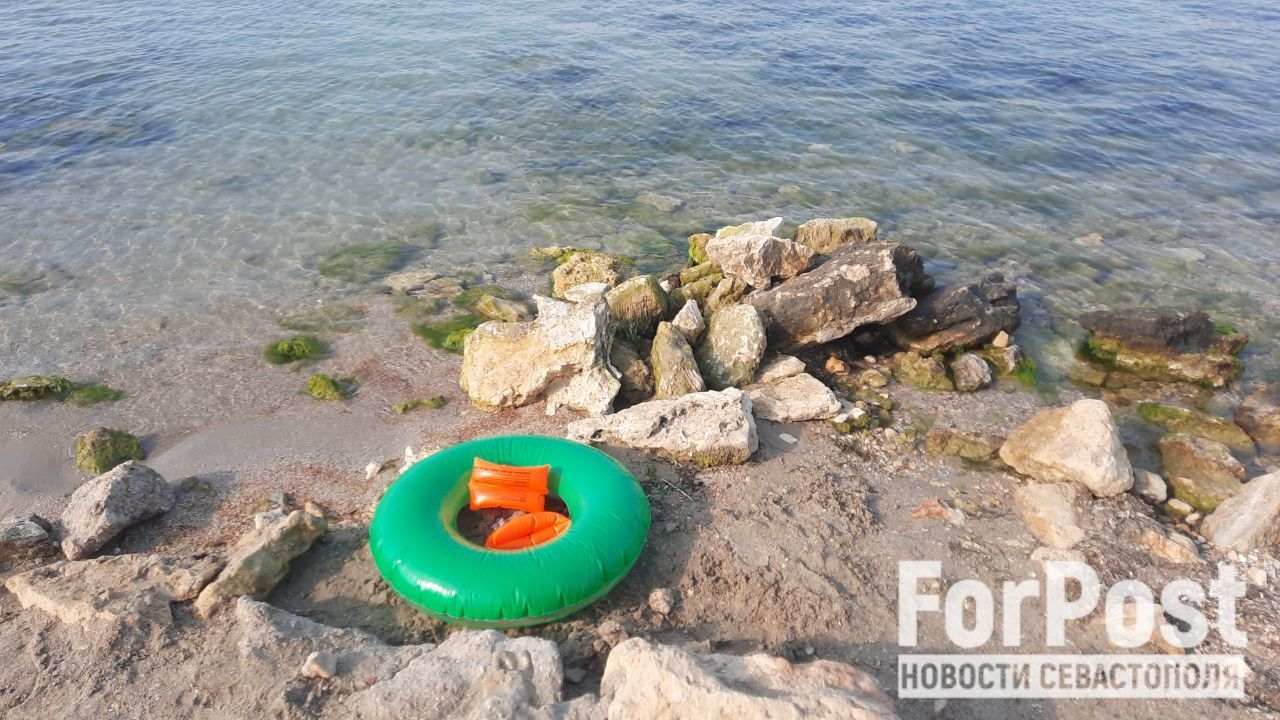 Море и живность черноморских курортов преподнесли туристам неприятные сюрпризы