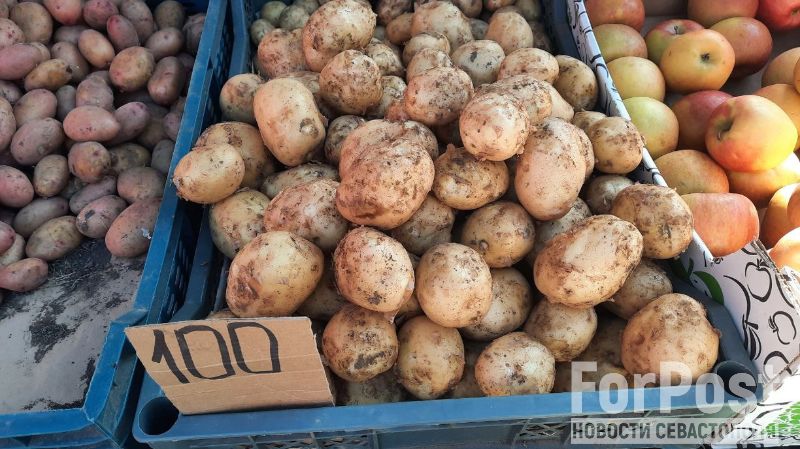 На совести торговцев: в Крыму нашли объяснение заоблачным ценам на овощи 
