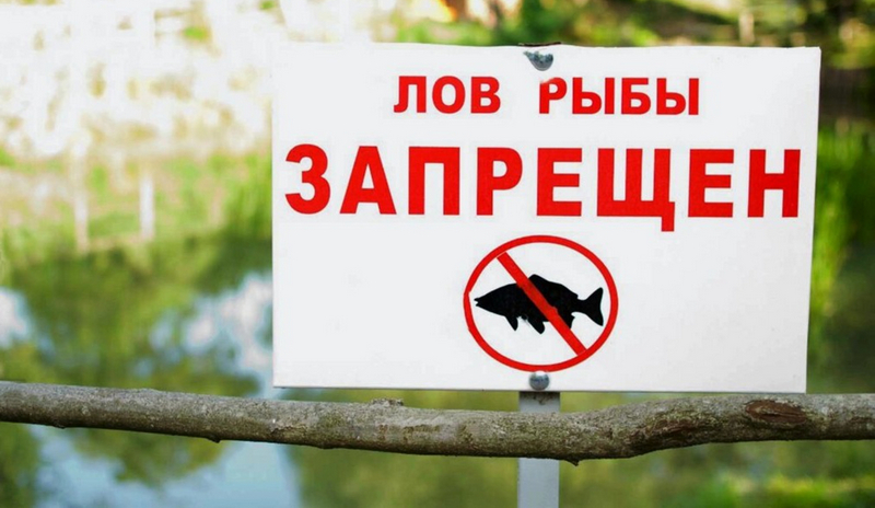 Почему крымчанам лучше не рыбачить на реках Керчи 