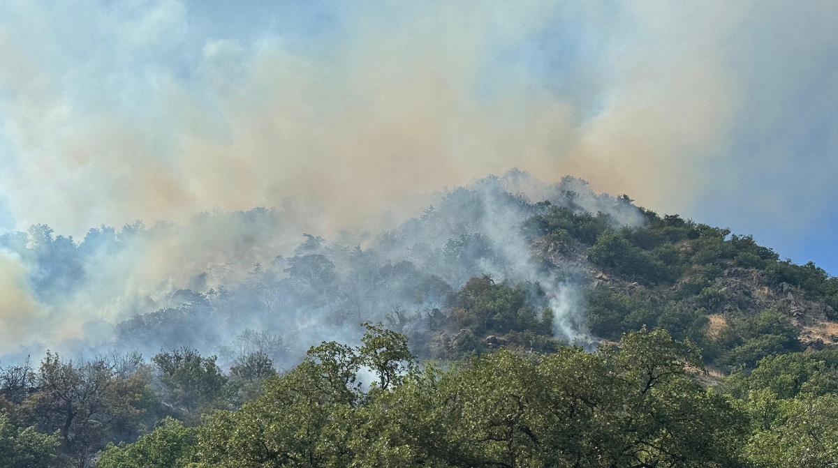 Убийственный дым: как связаны лесные пожары с одним из видов рака