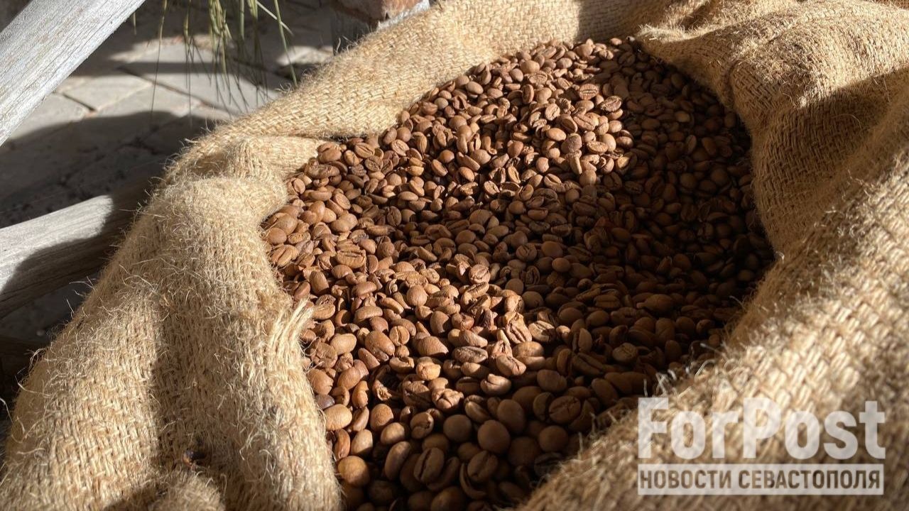 Экономист объяснила, почему кофе в мире дешевеет, а в магазинах наоборот