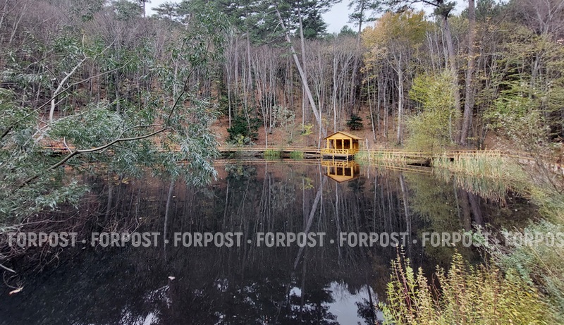 Работавшие на склоне Ай-Петри фотоживодёры лишились четырёх «моделей»