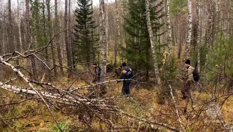 Четыре версии: что могло случиться с семьёй, которая 6 дней назад пропала в лесу