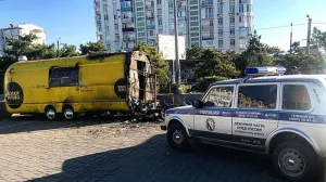 Главе корпорации развития Севастополя сожгли бизнес