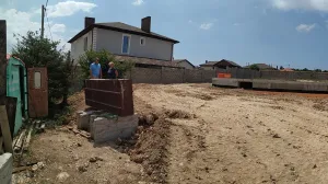 В Севастополе землевладелец замёл следы убийства деревьев