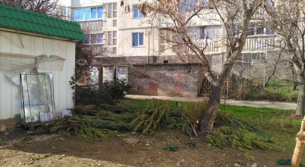 В Севастополе новогодние ёлки превратились в горы мусора