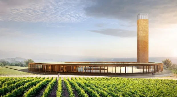 Возле отеля «Сбербанка» в Крыму устроят винный парк