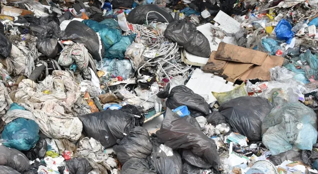За мусорную свалку в Севастополе выписали крупный штраф
