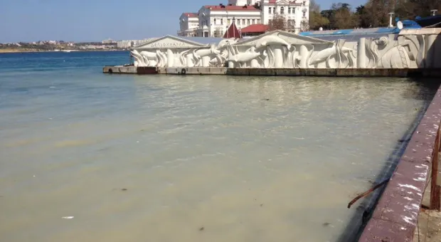 Море в бухте Севастополя окрасилось в цвет нечистот