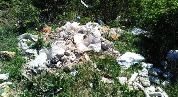 Крыму пророчат мусорный коллапс