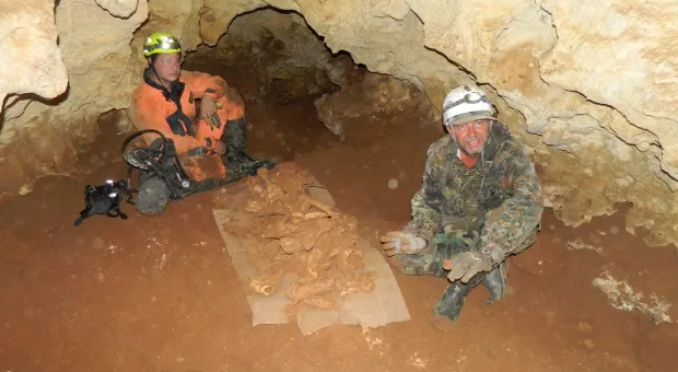 В пещере «Таврида» продолжат поиск следов человека