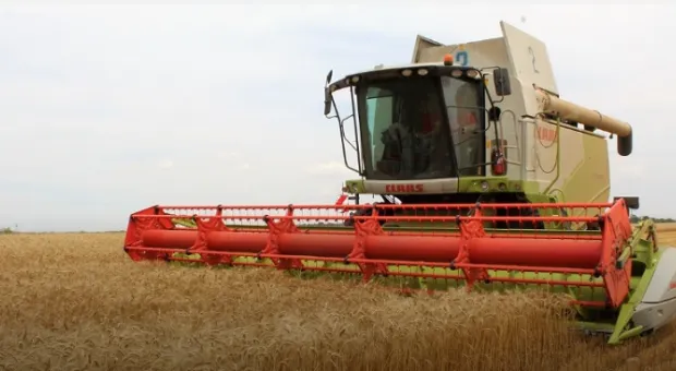 Худший за четыре года урожай зерновых собрали в Крыму