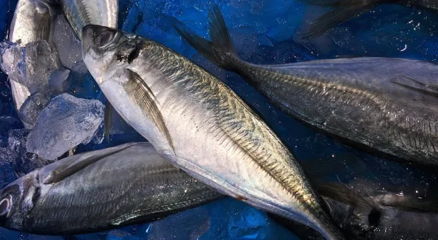 Севастополь богат рыбой из Новой Зеландии и Дальнего Востока