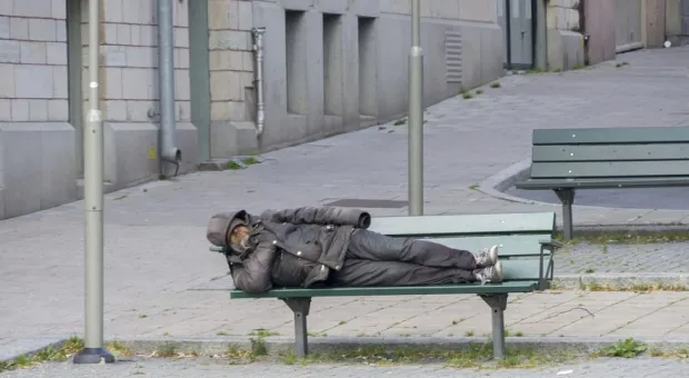 В Севастополе наконец построят приют для бездомных