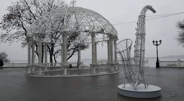 Севсети#1139: Экстремальный Севастополь, картинка с позвоночником и приметы торжества