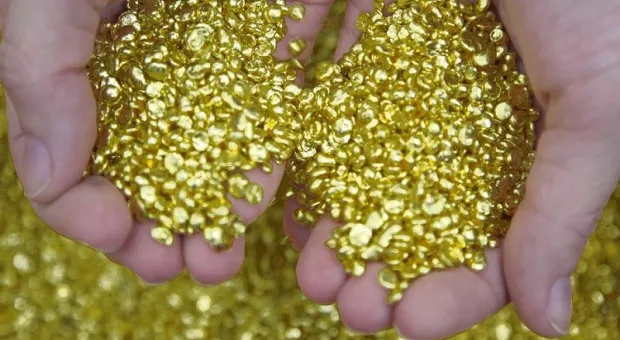 У депутата Госдумы конфисковали семь тонн золота