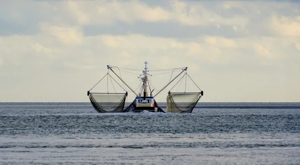 В Севастополе идёт работа над линейкой новых рыболовецких судов