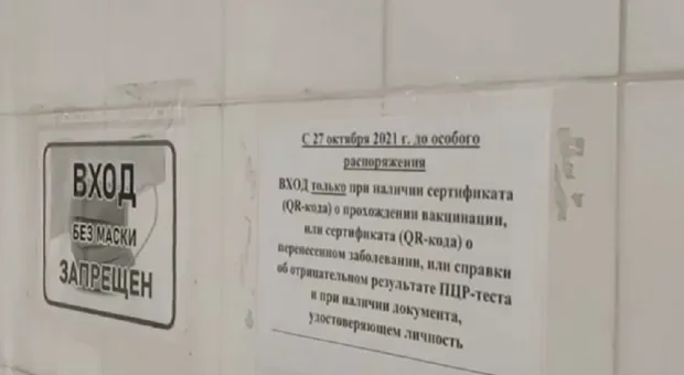 Севсети #1350. Петербургский шлёпинг в Севастополе и туалеты по QR-коду в Крыму