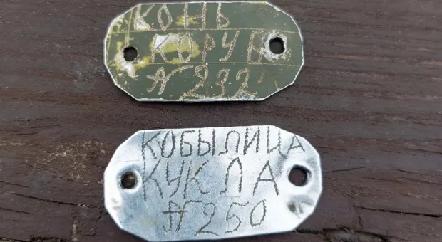 На востоке Крыма нашли редкие самодельные жетоны боевых лошадей
