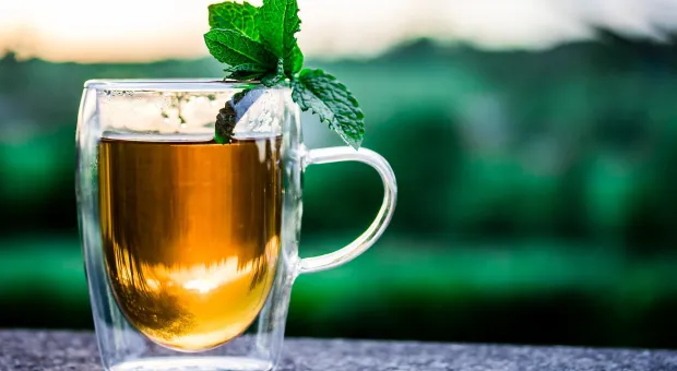 Учёные выявили, что люди, пьющие определённое количество чая, дольше живут