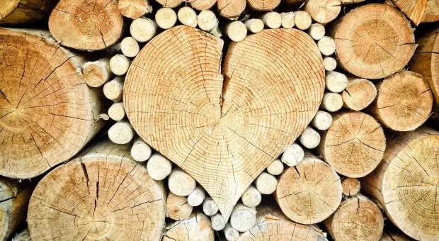 В Севастополе найдены самые дорогие в стране дрова 