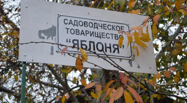 Многоквартирные «курятники» на дачных участках взяли Севастополь в заложники 