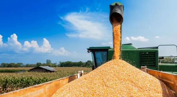 Россия сообщила о готовности заместить украинское зерно
