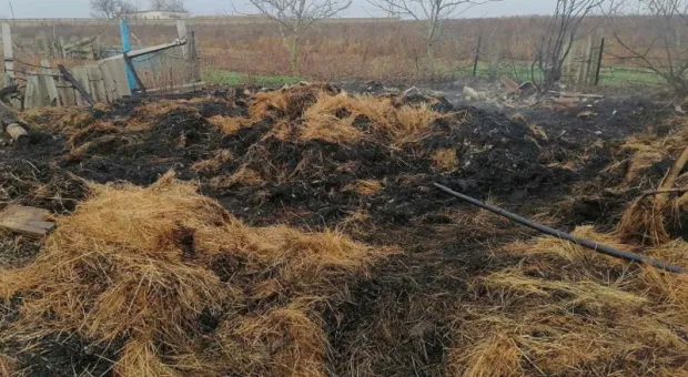 По горячим следам в Крыму нашли поджигателя сена