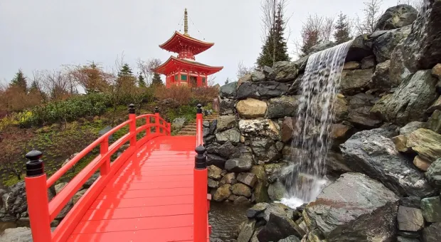 Вот зачем людям деньги: Галицкий сделал Краснодару новый подарок — Японский сад
