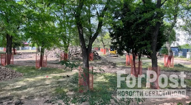 Севастополь ждёт ответа о продуманности работ в Лазаревском сквере 