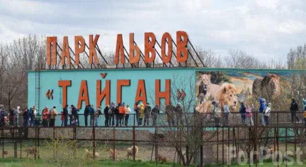 Всех ли животных из зооуголка Новой Каховки успели перевезти в Крым