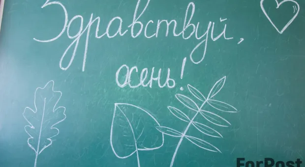 Несколько севастопольских школ получили сообщения о минировании 