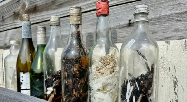 Найденные на побережье «ведьмины бутылки» учёные советуют не открывать