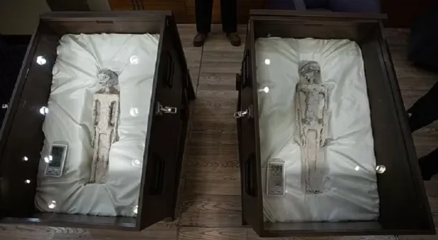 В мумифицированных «пришельцах» нашли ДНК неизвестного вида 
