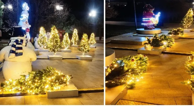 В Севастополе случился падёж новогодних ёлок в парке Победы 