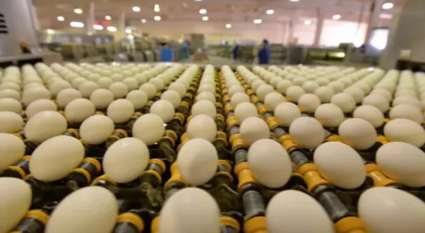 В правительстве сообщили, когда цены на яйца придут в себя