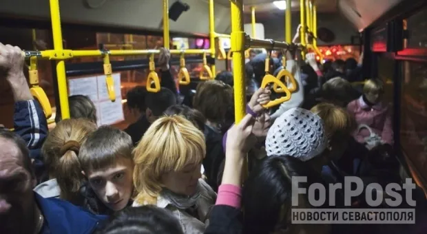 Севастопольский автобус стал платформой наркоторговли