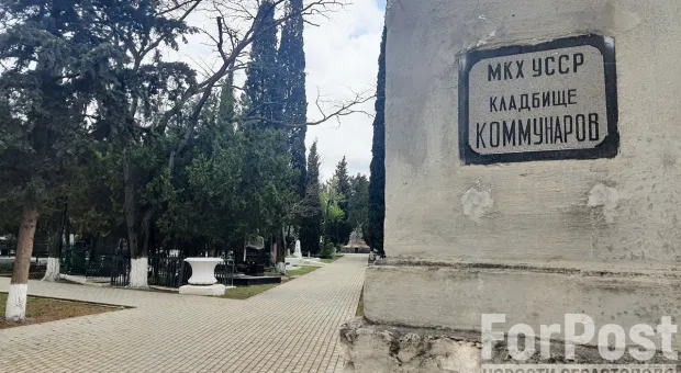 Злоумышленник прятал взрывчатку на севастопольском кладбище